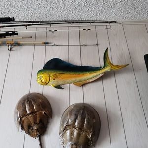 Meet your Posher, Dara